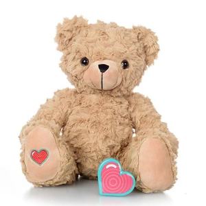 Heartbeat teddy bear with recordable heart.